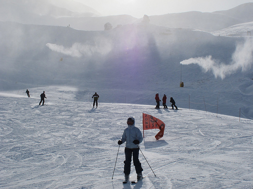 nz2 ski