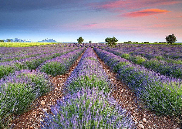 Provence France